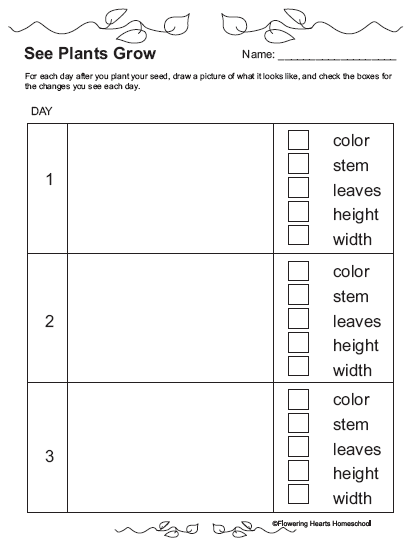 Junior Plant Growing Chart - Image 2